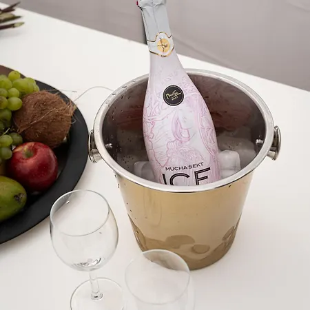 Royal Skyline Penthouse * Prag